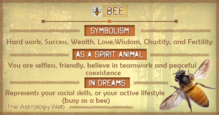 Bee Symbolism Spirit Animal Dream