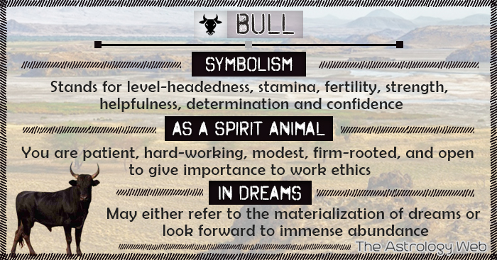 Bull Symbolism Spirit Animal Dream