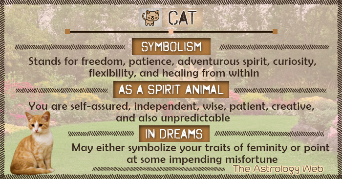 orange cat spiritual meaning