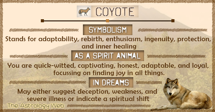 native american coyote symbol