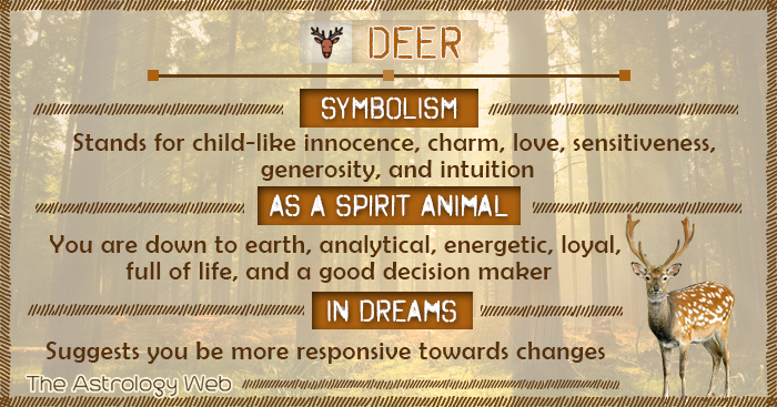 Deer spirit animal : Symbolism and meaning