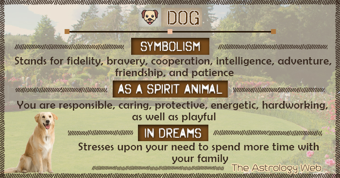 what is meaning of dog