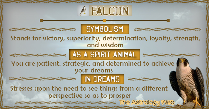 Bird of Prey Dream Meaning  Dream meanings, Dream dictionary, Spiritual  meaning of dreams