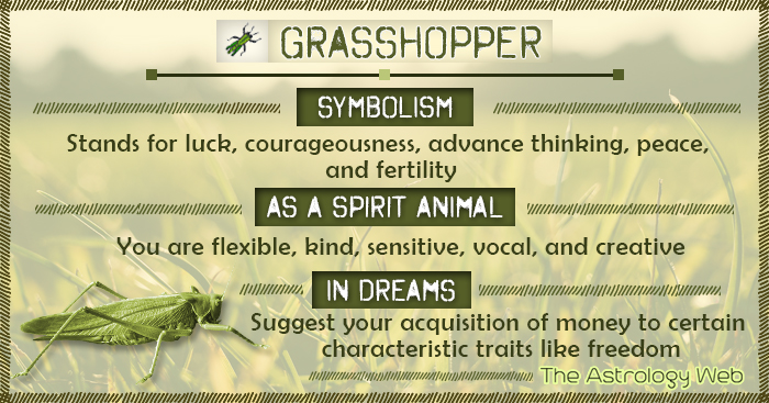 Grasshopper Symbolism Spirit Animal Dream