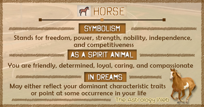 Horse Symbolism Spirit Animal Dream
