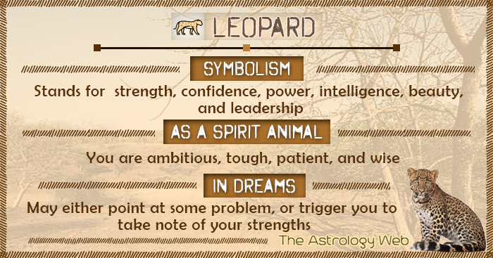 Lemming Spirit Animal, Totem, Symbolism and Meaning - What Dream Means