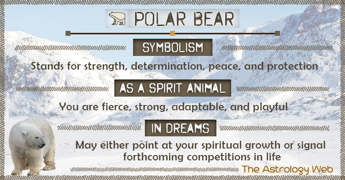 Bears Are My Spirit Animal -  bear-meaning-symbolism.