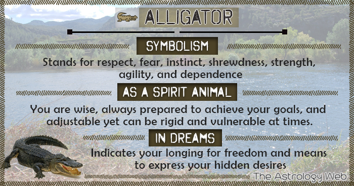 Alligator Meaning and Symbolism | The Astrology Web