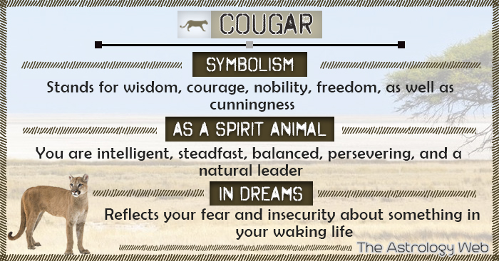 dream of puma cat meaning