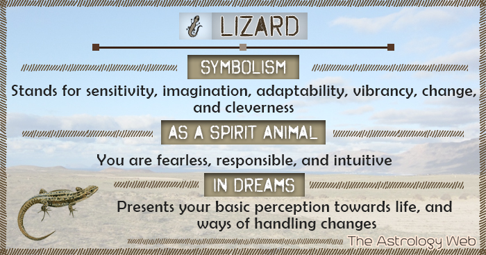 Lizard Symbolism Spirit Animal Dream