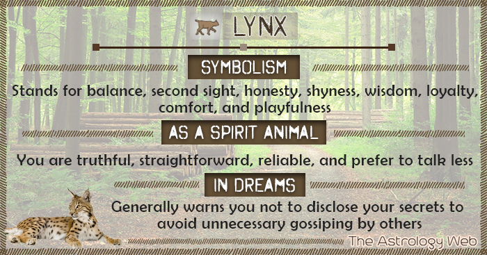 Lynx symbolismus Spirit Animal Dream