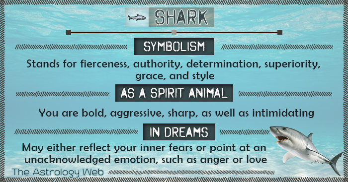Shark Symbolism Spirit Animal Dream