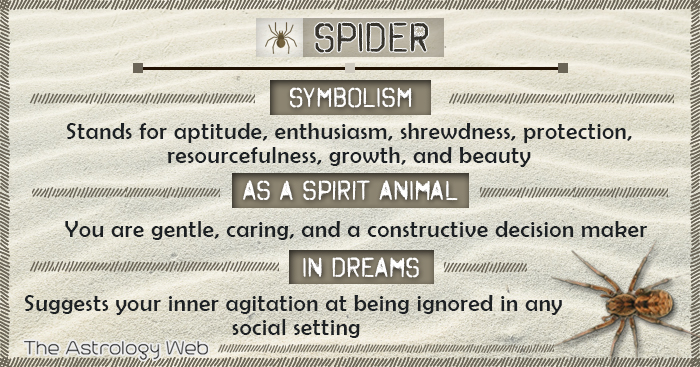 Spider Meaning and Symbolism | The Astrology Web