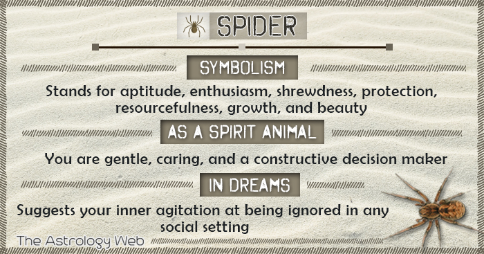 Spider Meaning and Symbolism The Astrology Web