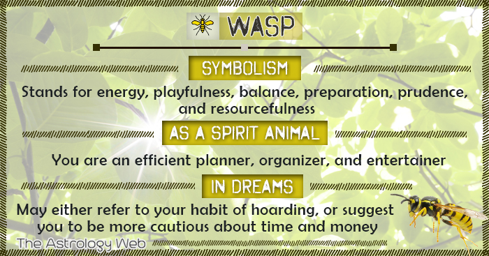 Wasp Meaning And Symbolism The Astrology Web