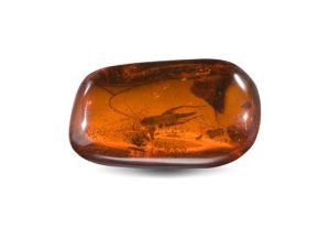 Taurus Birthstone Amber