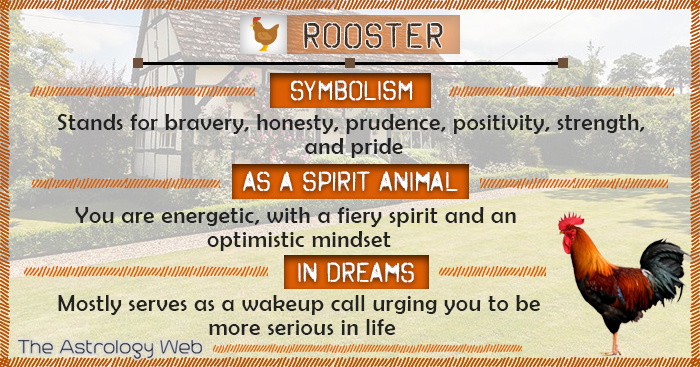 Rooster Meaning and Symbolism | The Astrology Web
