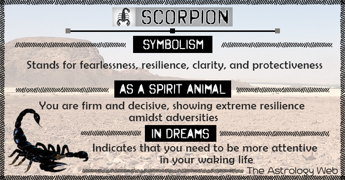 Scorpion Symbolism Spirit Animal Dream